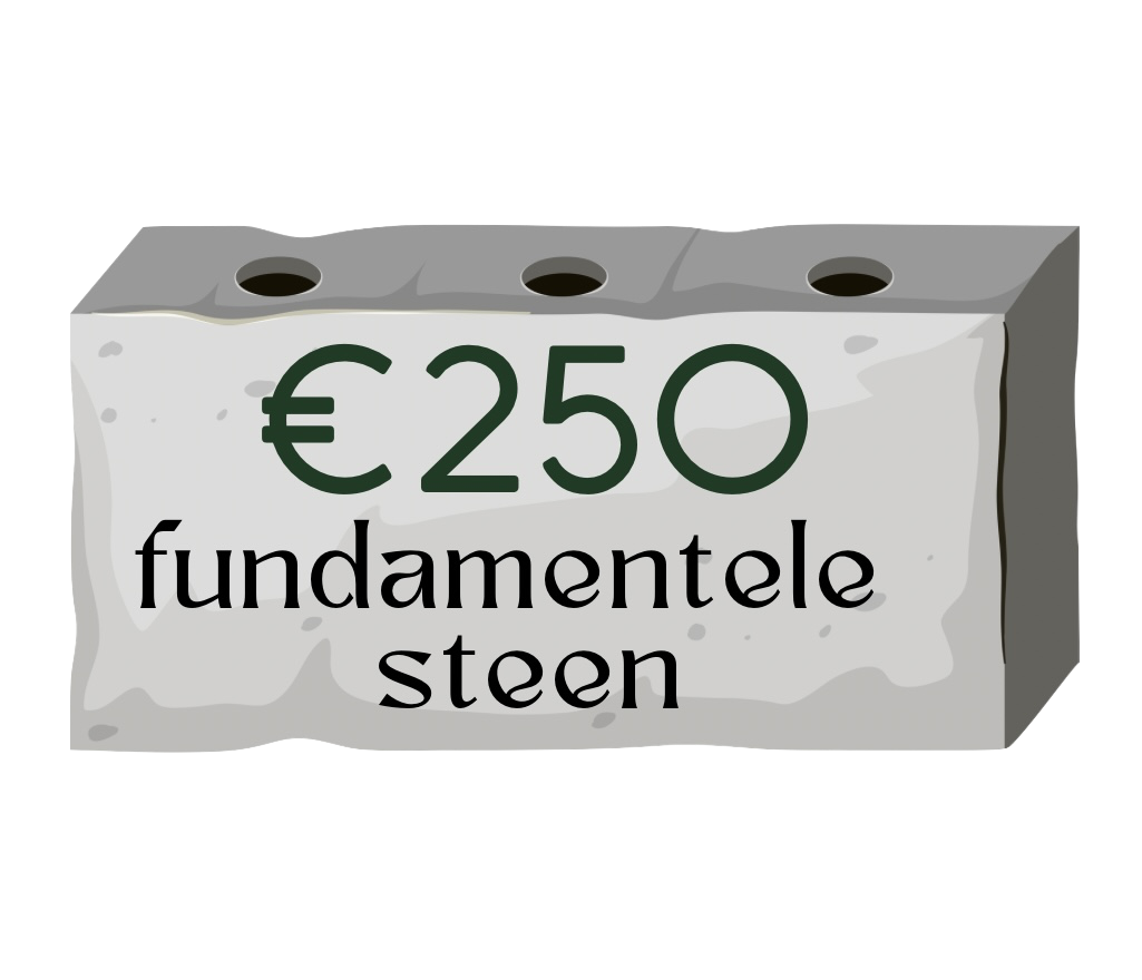 fundamentele steen