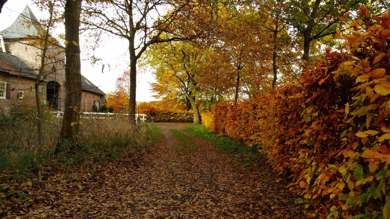 Herfst door Annie Hendriks0